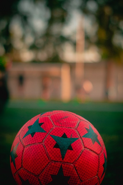 对意大利和 对意大利和