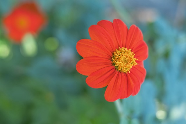 變得越來越 變得越來越