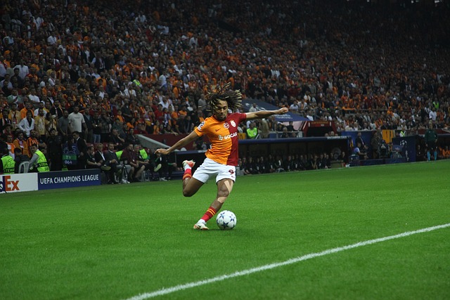 仅要依靠什 仅要依靠什