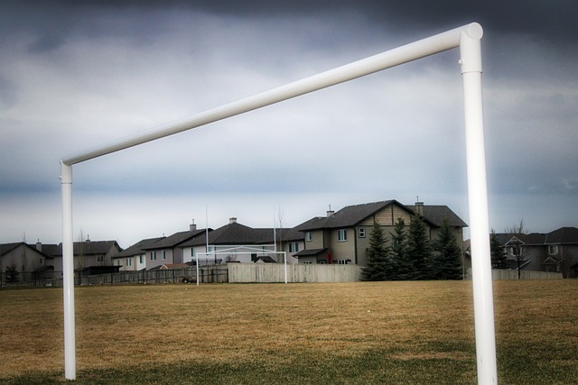 洲际赛事中 洲际赛事中