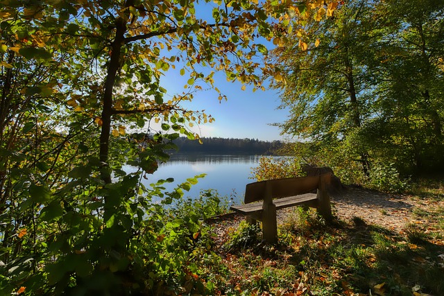 作生存的唯 作生存的唯