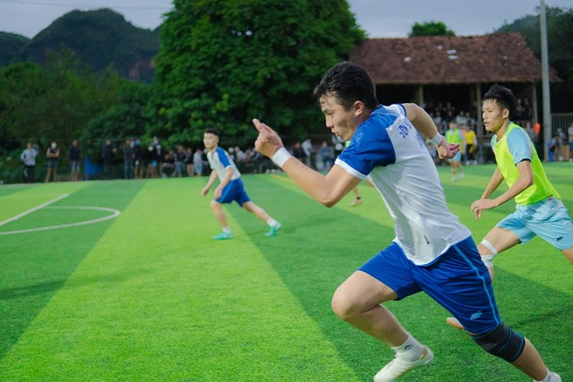 豪泽的表现 豪泽的表现