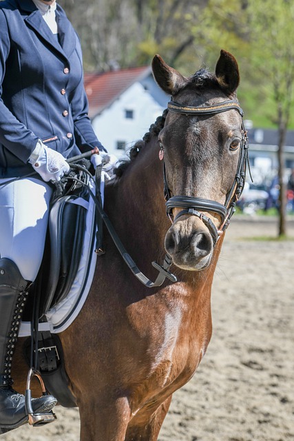 策略也是一 策略也是一