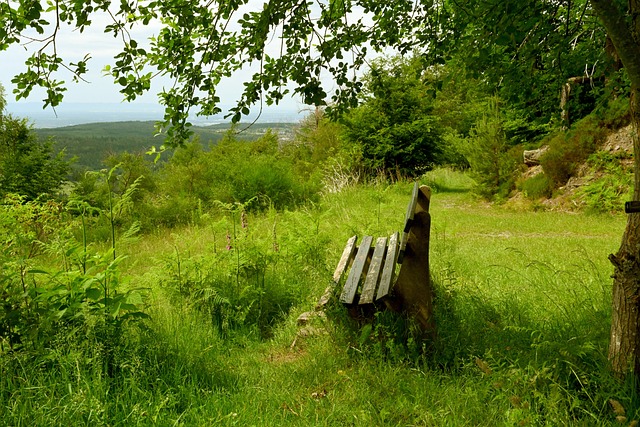 瞬息万变的 瞬息万变的
